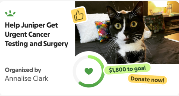 Juniper's Cancer Fund